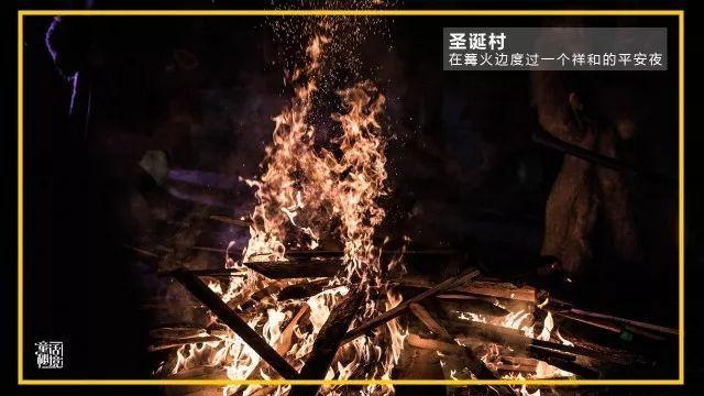 虫虫助手下载